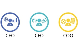 do collect ceo cfo or finance controller email leads for grow your business