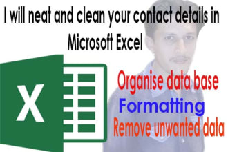 scrubbing microsoft excel expert for spreadsheet or CSV file data