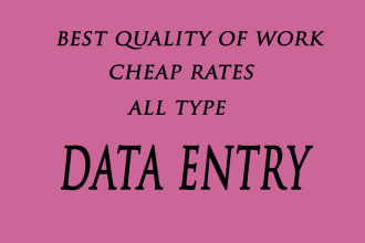 do professional wordpress data entry
