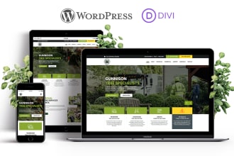 develop responsive wordpress site with divi