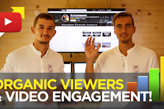 drive traffic to any youtube video through social media