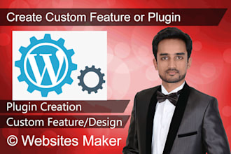 make custom wordpress feature or plugin