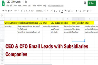 collect data for HQ subsidiary CEO cfo leads