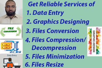 do file data entry, files conversion,resize, zip and unzip