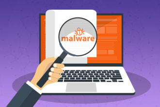 remove malware, virus from wordpress or any other website in no time