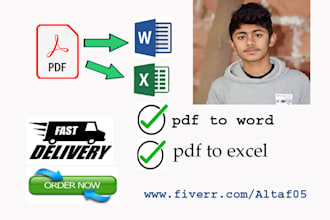 manually convert pdf to word,or pdf to excel