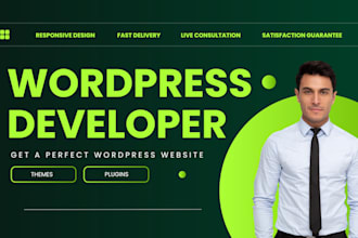 be your expert wordpress consultant for themes, plugins and site audits