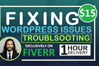 fix wordpress issues errors