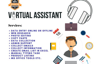 be your VA for data entry, admin work, documentation and lead generation
