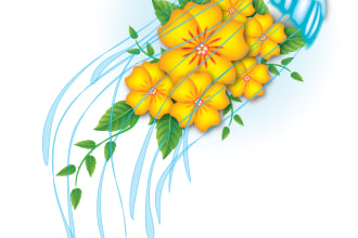 be your creative vector designer