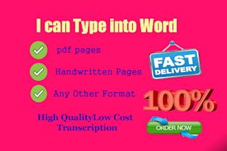 do a professional typing job accurately