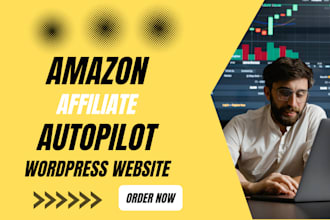 build amazon affiliate autopilot website and autoblog