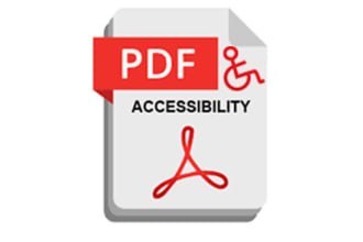 perform pdfs testing, auditing and remediation