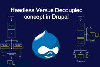 develop drupal decoupled application