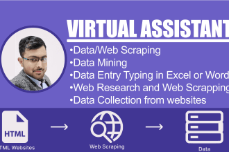 executive virtual assistant, social media virtual assistant, personal VA