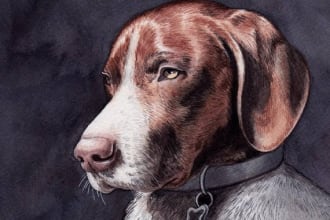 draw realistic pet portrait of your cat, dog or any pets