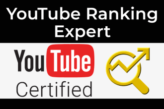 do expert youtube video ranking and SEO for channel growth