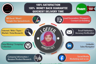 do web research, b2b lead generation, data entry etc
