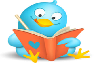 tweet your message in twitter with 50,000 plus followers