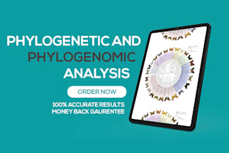 do bioinformatics analysis, phylogenetic analysis