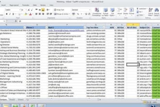 do excel data entry