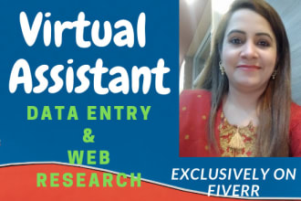 do data entry, copy paste, web research and excel data entry