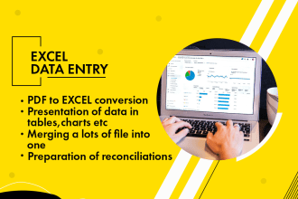 do excel data entry, data entry, PDF to excel data entry