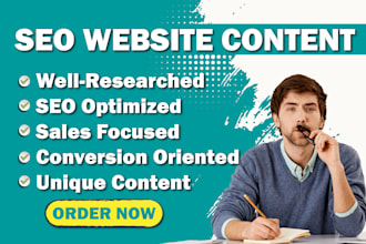 be SEO website content writer or web content writer