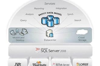 sql server developer and manager