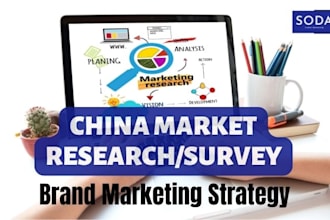 help market research survey marketing strategy in china