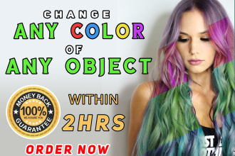 change color of anything professionally