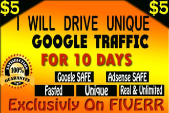 drive USA targeted web traffic via google