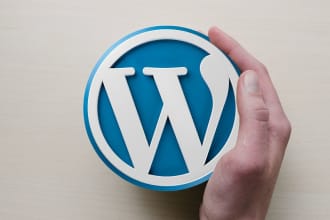do wordpress theme setup and all plugin setup with customization