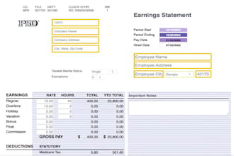 edit your check stubs for digital or print