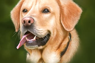 draw a digital portrait of your pet