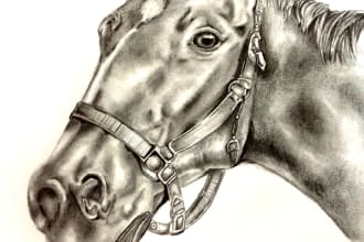 draw a pencil sketch of anything you need