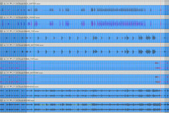 edit, quantize and optimize your drum tracks