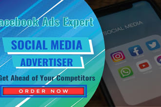 quickly setup facebook ads campaign or promote fb page