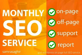 give wordpress on page full SEO service