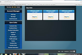 provide 10000 Customhits points