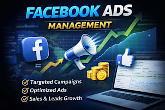 manage your meta business ads as an expert