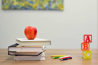 teach computer science subjects
