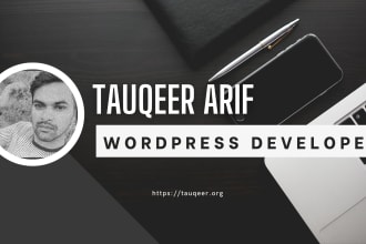 be your professional wordpress developer