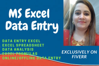 do data entry, excel, spreadsheet, data collection