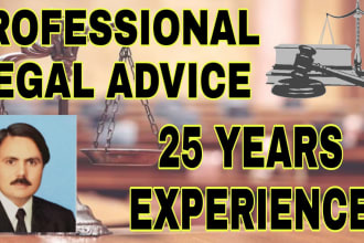 give professional legal advice