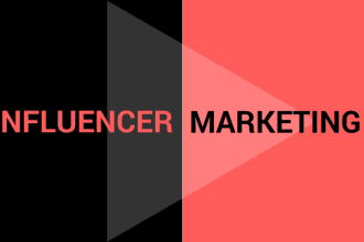 find the best influencers for targeted niche