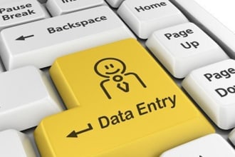 do data entry in wordpress and word document