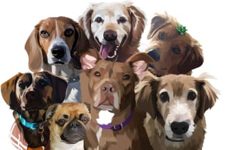 draw cartoon portrait for any animal in 24 hour