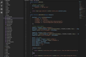fix bugs or issues in HTML, CSS, js, PHP, ajax, wordpress