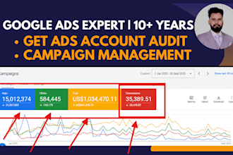 audit and manage google ads adwords PPC campaigns